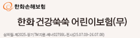 한화손해보험