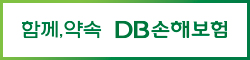 DB손해보험