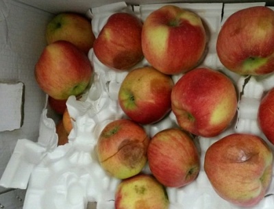 2015-09-03 16;36;22.jpg