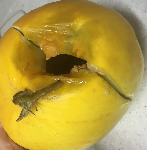 1008-오마이.jpg 1008-오마이.jpg