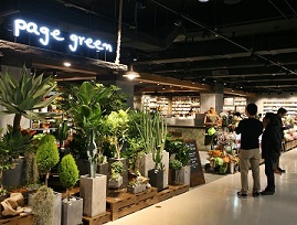 1202-롯데마트 -페이지그린.jpg