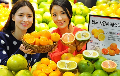홈플러스 월드 감귤류페스티벌1.jpg