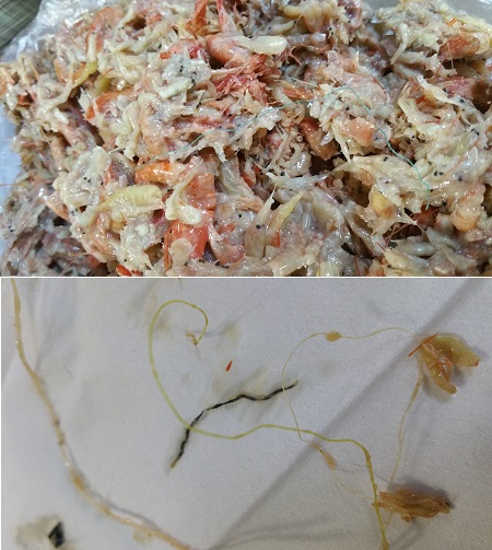 1024-호갱.jpg 1024-호갱.jpg