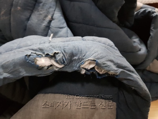 3743522880_qlb7yYEp_1571706527336 (1).jpg