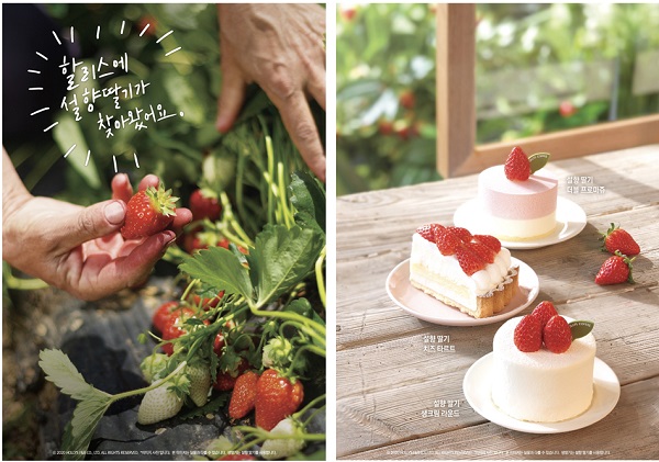 할리스커피.jpg 할리스커피.jpg