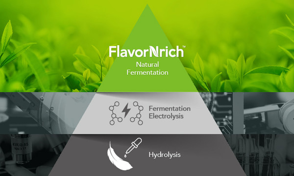 ▲시스테인 생산방식 구분. (아래부터)1세대 가수분해방식-2세대 전기분해 방식-3세대 비전기분해 발효공법