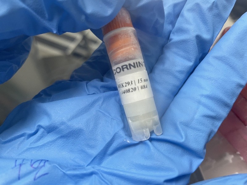 ▲최근 러시아 RDIF가 휴온스글로벌 컨소시엄에게 보낸 스푸트니크 백신 생산용 세포 바이알