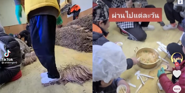 ▲'난리난 한국 오징어 공장 실태'라는 제목의 영상이 온라인상에서 공유되며 소비자 사이에서 논란이 일었다