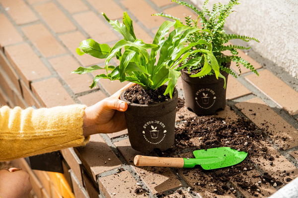 ▲네스프레소, 재활용 커피 화분