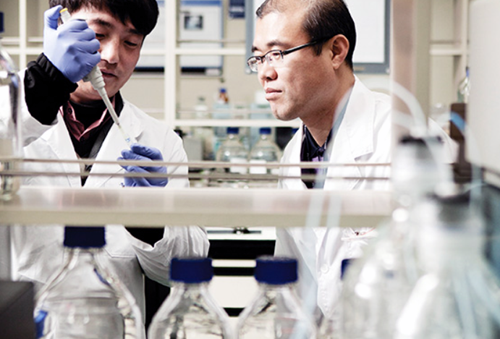 ▲대상 식품안전센터 연구원들이 품질 관리 활동을 수행하고 있다