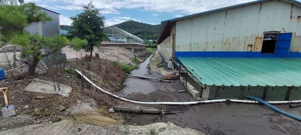 ▲가축분뇨 공공수역 유출