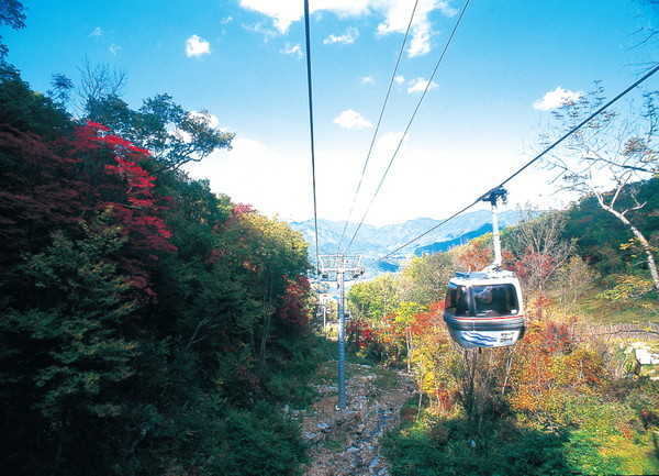 ▲ 무주 가을곤도라