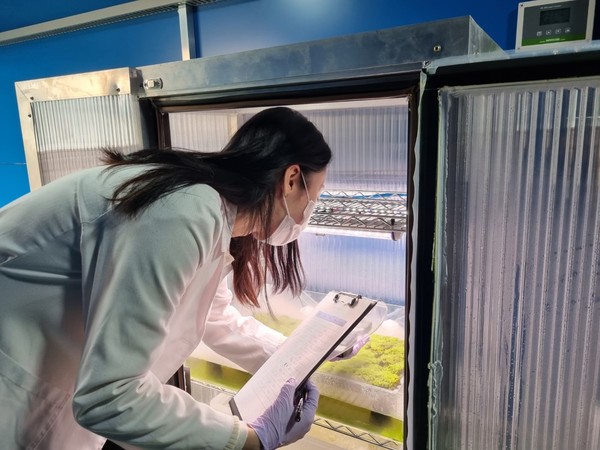 ▲ 롯데건설 연구원들이 스마트팜 실험실에서 작물 상태를 확인하고 있다.