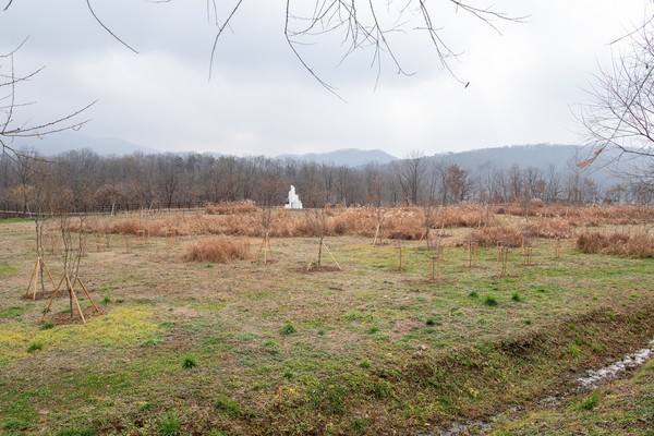 ▲드림 포레스트