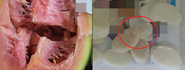 ▲ 수박의 속이 썩어 있는 모습(왼쪽), 떡국 떡에 곰팡이가 핀 모습