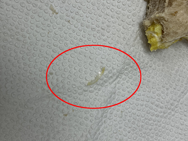샌드위치에서 나온 딱딱한 비닐조각