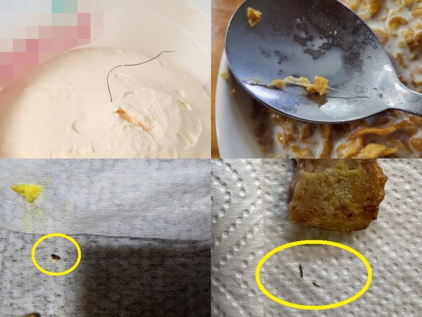 ▲(왼쪽 위부터 시계방향으로) 요구르트 제품에서 발견된 체모, 시리얼 제품에서 발견된 이물질, 프레스햄에서 발견된 금속 이물질, 과자 제품에서 발견된 이물질.