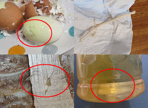 ▲(왼쪽 위부터 시계방향) 계란의 흰자가 초록색인데다 악취가 진동했다, 마트에서 구매한 닭에서 이상한 이물질이 나온 모습, 식초에서 물컹한 이물질이 발견된 모습, 진공 포장된 편육에서 다수의 털이 발견됐다