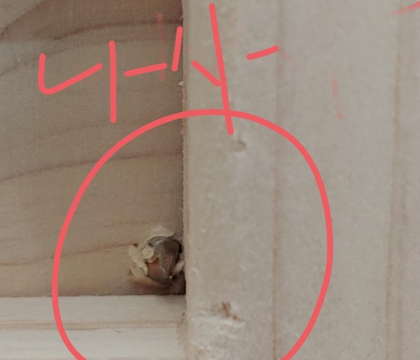 ▲서랍장에 나사가 삐져나와 있는 등 문제가 여럿 발견됐다