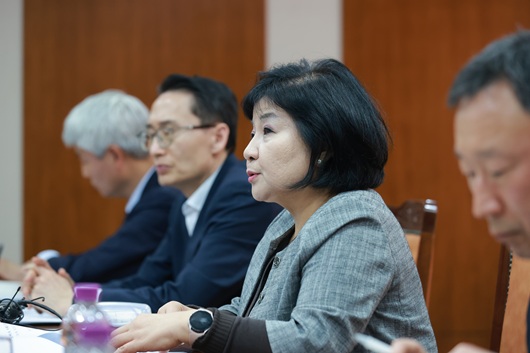 ▲ 김미영 금융감독원 금융소비자보호처장이 29일 오후에 열린 공모펀드 상품설명 합리화 TF 킥오프 회의에서 모두 발언을 하고 있다.
