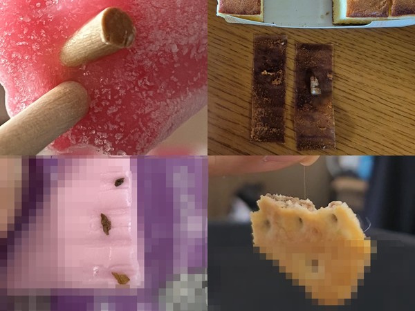 ▲(왼쪽 위부터 시계방향으로) 아이스크림에 붙은 나무 막대기, 빵에서 나온 금속 볼트, 과자에 나온 실 이물, 껌에 붙은 이물질.