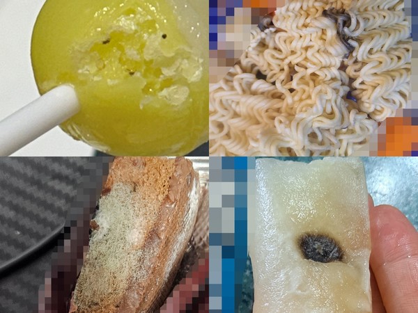 ▲왼쪽 위부터 시계방향으로 사탕에 붙은 벌레, 변질된 라면, 곰팡이가 핀 아이스크림, 곰팡이가 핀 과자