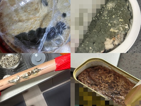 ▲(왼쪽 위부터 시계방향으로) 냉동 피자에 핀 곰팡이, 즉석밥을 뒤덮은 곰팡이, 변질된 프레스햄, 옛날 소시지에 곰팡이가 핀 모습