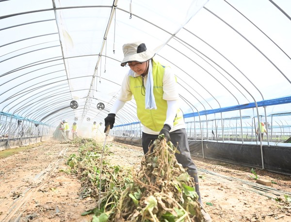 ▲송춘수 NH농협손해보험 대표가 지난 7월 23일 충남 예산에서 수해복구 활동을 실시하고 있다