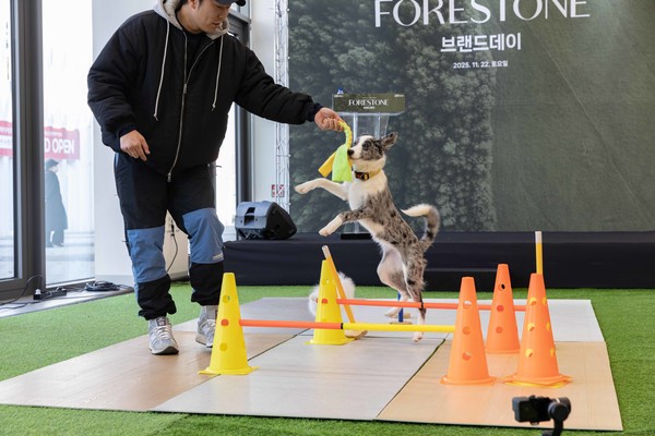 ▲유튜브 ‘개랑해TV’ 조재호 훈련사와 반려견들이 반려동물 제품 인증(PS인증)을 받은 포레스톤 위에서 다양한 활동 모습을 선보이고 있다.