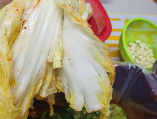 ▲잎은 다 뜯어내고 줄기만 남은 불량 절임배추를 받은 소비자가 분개했다