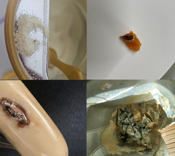 ▲(왼쪽 위부터 시계방향) 분유에서 나온 검은 이물질, 내부가 딱딱하게 부패된 쫀드기, 곰팡이로 범벅된 환자 식사 대용 음료 내부, 이물질이 박힌채 포장된 간식용 소시지
