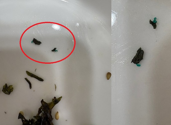 ▲우측 사진은 빨간색 원 부분 확대한 것